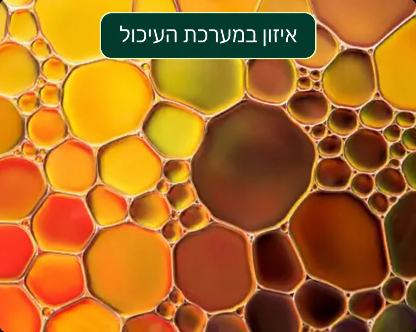 שמן אורגנו