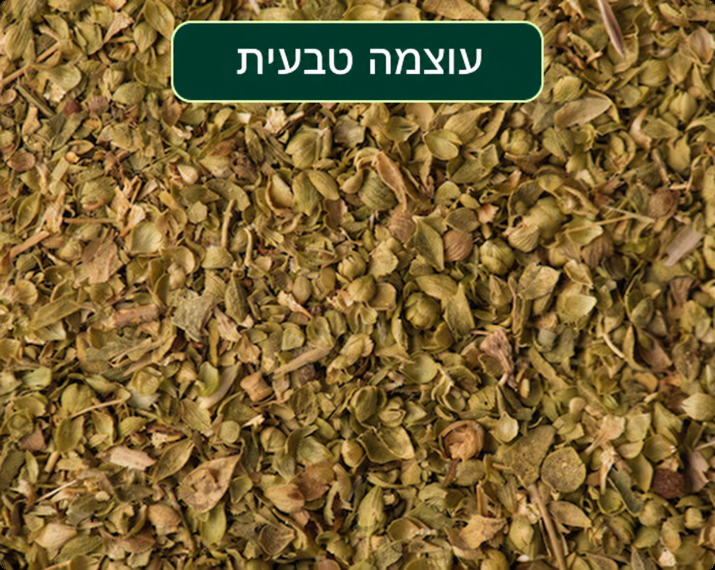 קרבקרול