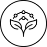 תמיכה נוגדת חמצון